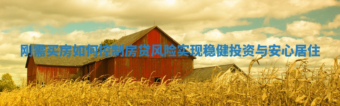 刚需买房如何控制房贷风险实现稳健投资与安心居住